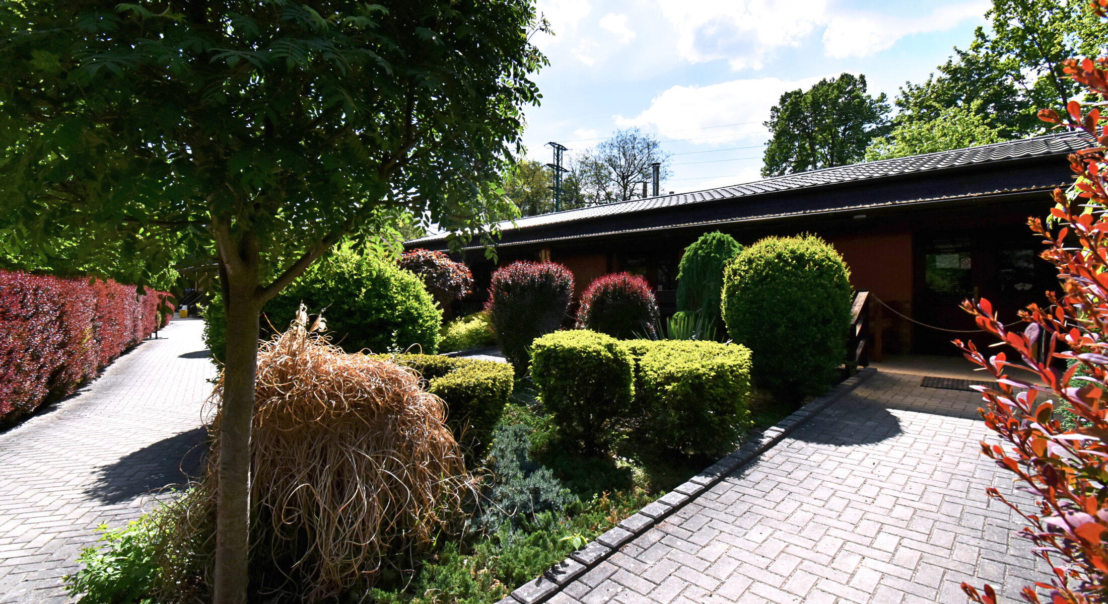 Exterior Kemp Sazava / Kemp Sazava / Kemp Sazavsky ostrov